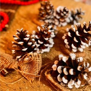 Handmade pine cones Christmas Ornaments